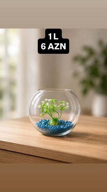 akvarium baliqlari satisi: Yumru akvarium, 1 l, Ünvandan götürmə, Pulsuz çatdırılma, Ödənişli çatdırılma — 5