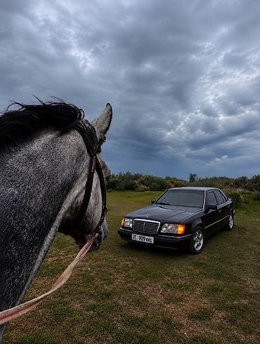 Продажа авто: Mercedes-Benz E-Class: 1995 г., 2.2 л, Автомат, Бензин, Седан — 4