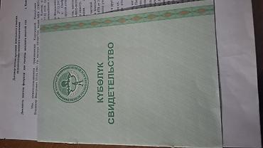 куплю поле: 10000 соток, Договор купли-продажи — 1