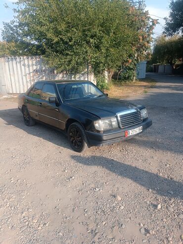 Mercedes-Benz: Mercedes-Benz 230: 1991 г., 2.5 л, Механика, Дизель, Седан