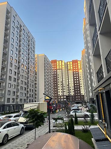 royal: 2 комнаты, 52 м², Индивидуалка, 11 этаж, Свежий ремонт — 6