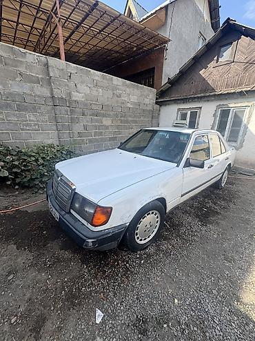 124 молдинг: Mercedes-Benz W124: 1988 г., 1.6 л, Механика, Бензин, Седан — 5