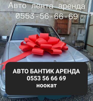 runx alex: Аренда авто бантик 
авто лента для подарок адрес ноокат