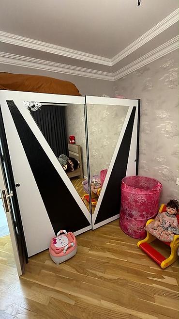 Mebel: İşlənmiş, 2 qapılı, Güzgülü, Rəngli, Kupe, Düz dolab — 1