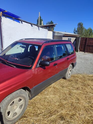 subaru ou: Subaru Forester: 2000 г., 2.5 л, Автомат, Бензин