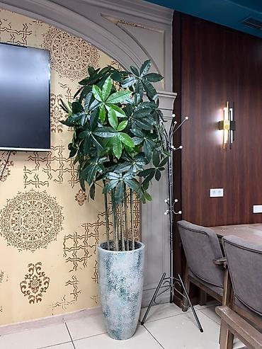 Декоративные цветы: 🌿✨ Mayram Decor.kg – искусственные деревья и цветы в Бишкеке ✨🌿 — 6