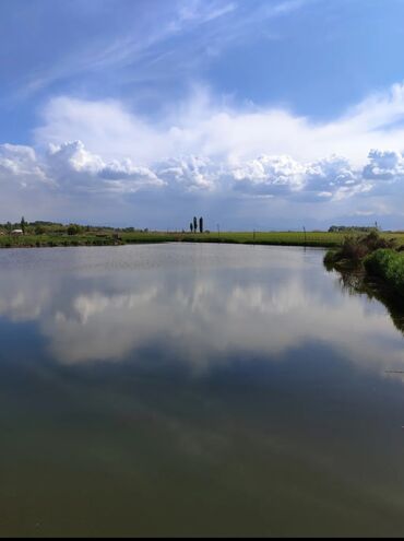 Продажа участков: 600 соток, Для бизнеса, Красная книга — 6