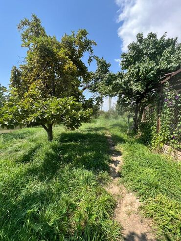 Продажа домов: Времянка, 47 м², 2 комнаты, Агентство недвижимости, Косметический ремонт — 7