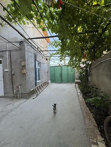 gəncə ev elanları: 5 otaqlı, 150 kv. m, Kredit yoxdur, Yeni təmirli — 1