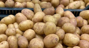 куплю шкаф для одежды: Картошка Джелли, Оптом