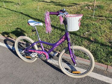 детские велосипеды giant: Детский/подростковый двухколёсный велосипед Giant Taffy 20, яркий