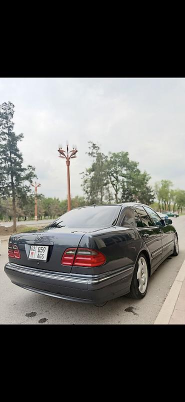 bme e39: Mercedes-Benz E-Class: 2002 г., 3.2 л, Автомат, Бензин, Седан — 6