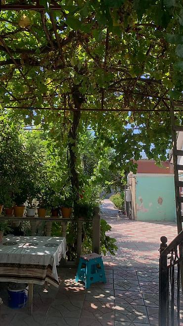 əhmədli park: 6 sot, Tikinti, Mülkiyyətçi, Kupça (Çıxarış) — 4