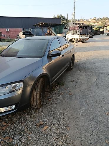 шина ош: Skoda Octavia: 2017 г., 1.6 л, Кол менен иштөөчү, Бензин, Седан — 2