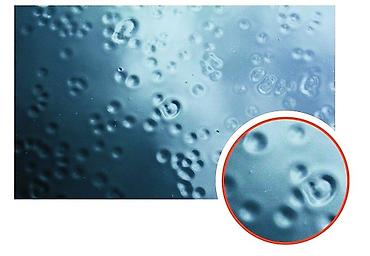 силиконовый спрей: Продаю Antisilicone в краску.Обезжириватель для Автокраски — 5