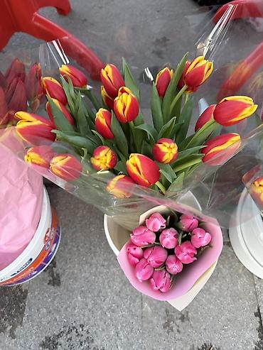 Букеты из живых цветов: Тюльпаны – свежие срезанные цветы и готовые букеты - Разнообразие — 8
