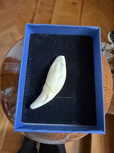 Kulonlar: Kulon, Qaşsız — 2