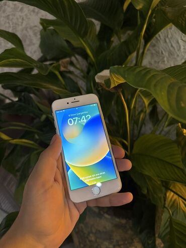 ayfon qiymətləri: IPhone 8, 64 ГБ, Белый, Отпечаток пальца