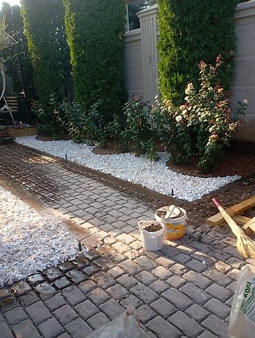 Газон: Газон и Автополив жасайбыз баасы келишим турдо болот! — 14