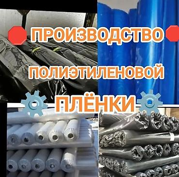 Пленка и бумага: Тип пленки, Новый — 1