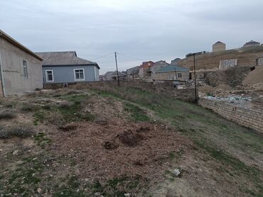 saray mtk satis qiymetleri 2022: 8 sot, Tikinti, Mülkiyyətçi, Kupça (Çıxarış)