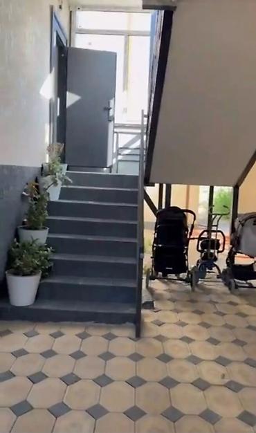 сдается квартира новопавловка: 25 м², 1 комната, Новопавловка с., Без животных — 4