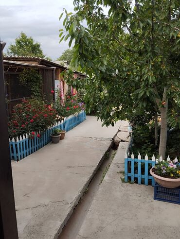 Продажа домов: Дом, 70 м², 4 комнаты, Собственник at lalafo.kg — 25 Продажа домов: Дом, 70 м², 4 комнаты, Собственник — 25