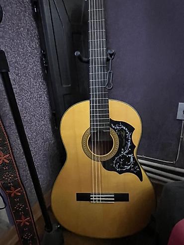 kamp evi: Klassik gitara, Yeni, Pulsuz çatdırılma — 4