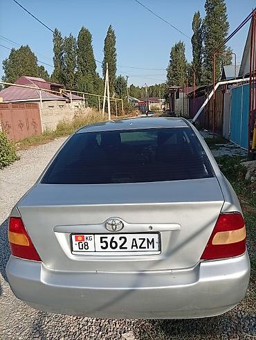 авто ярис: Toyota Corolla: 2003 г., 1.6 л, Механика, Бензин, Седан — 3