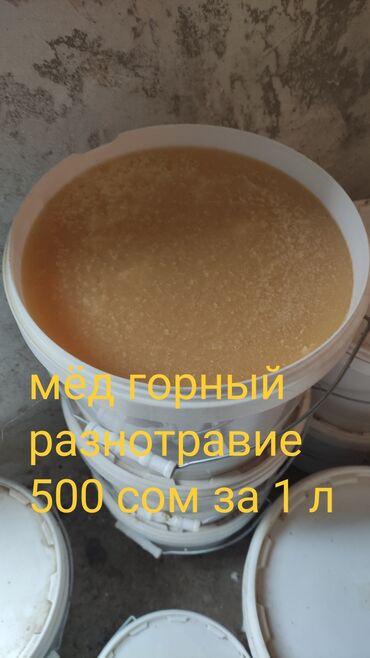 дордой моторс продукты: Бал