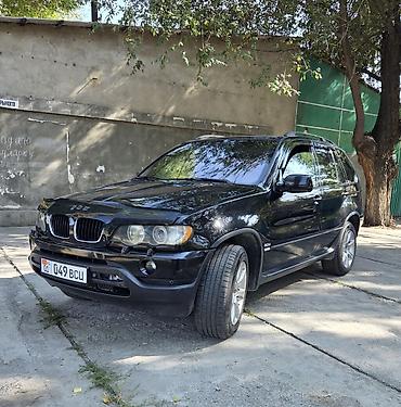 BMW: BMW X5: 2003 г., 3 л, Автомат, Дизель, Внедорожник — 1
