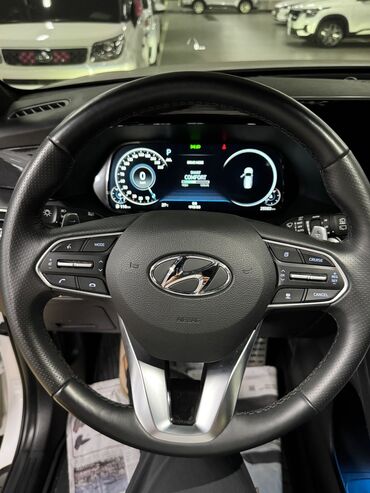 Hyundai: Hyundai Palisade: 2020 г., 3.8 л, Типтроник, Бензин, Кроссовер — 18