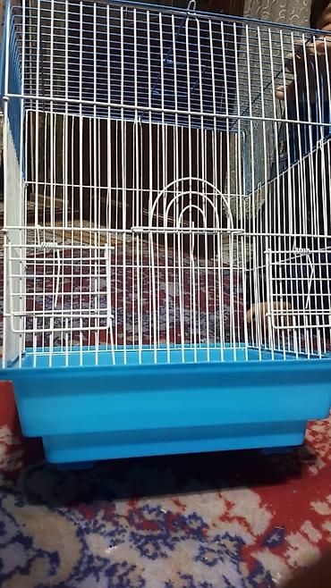 Зоотовары: Клетки для птиц и грызунов! — 11