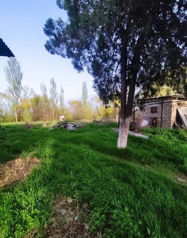 Продажа домов: Дом, 60 м², 3 комнаты, Агентство недвижимости — 2