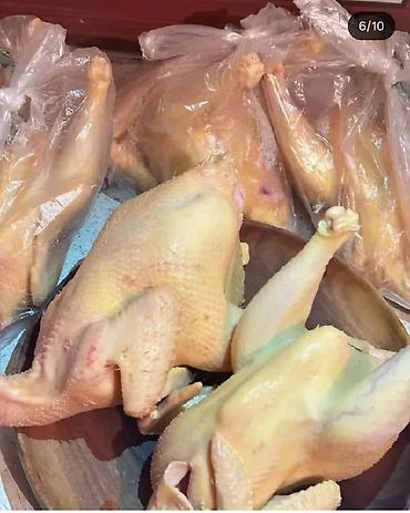 цеплята бройлер: 🐔 ПРОДАЮ ДОМАШНИХ КУР-НЕСУШЕК! 🌿 Домашние, выращенные в хозяйстве 🕌 — 4