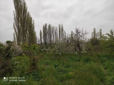 Həyət evləri və villaların satışı: 5 otaqlı, 100 kv. m, Kredit yoxdur, Təmirsiz — 12