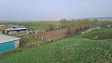 птицы ферма: 🌿 Продаётся кошара — готовый бизнес и уголок природы в одном! 🌿 — 10