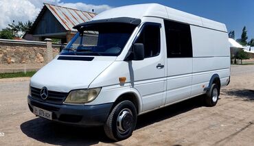Mercedes-Benz: Mercedes-Benz Спринтер: 2009 г., 2.9 л, Механика, Дизель, Фургон
