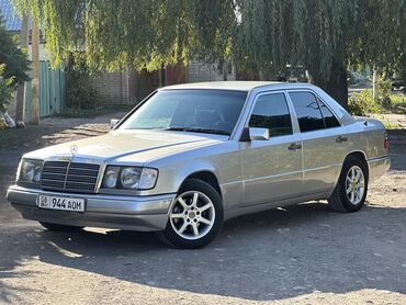 Mercedes-Benz: Mercedes-Benz 250: 1992 г., 2.5 л, Автомат, Дизель, Седан