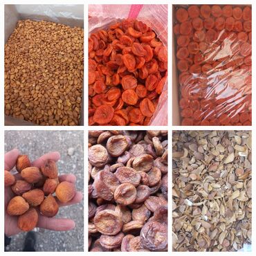 Сухофрукты, орехи, снеки: Ассалом алейкумбаткендин натуральный оругуарзан оптом сатылат — 3