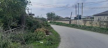 agac sekilleri: Kubiklər, Kredit yoxdur — 8