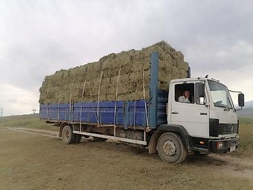 atego автовоз: Грузовик, Mercedes-Benz, Стандарт, Б/у — 6