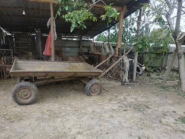 Прицепы и полуприцепы: Прицеп, Б/у — 3