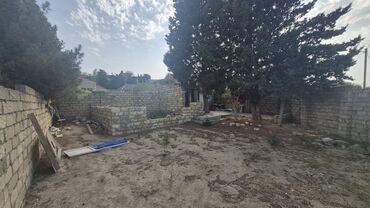 купить земельный участок в баку: 3 sot, Tikinti, Mülkiyyətçi, Bələdiyyə