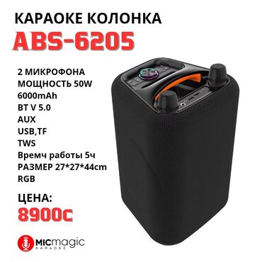 Динамики и колонки: КАРАОКЕ СИСТЕМА ДЛЯ ВЕЧЕРИНОК ABS-6205 с 2-мя беспроводными