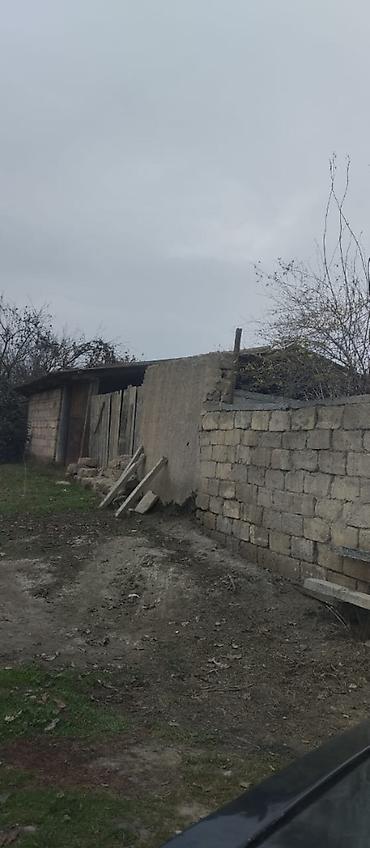 evlər studiya: 36 sot, Kənd təsərrüfatı, Mülkiyyətçi, Kupça (Çıxarış) — 9