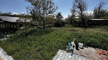 Продажа дач: Продаю дом дача Общество ДТ Энергия Участок 5.5 соток Красная книга — 23