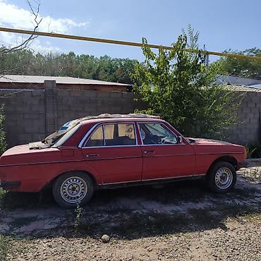e 55 amg: Mercedes-Benz : 1983 г., 2 л, Механика, Бензин, Седан — 2