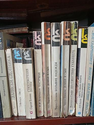 Художественная литература: Классика, На русском языке — 10