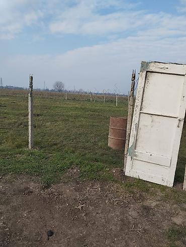 Torpaq sahələrinin satışı: Kənd təsərrüfatı — 1